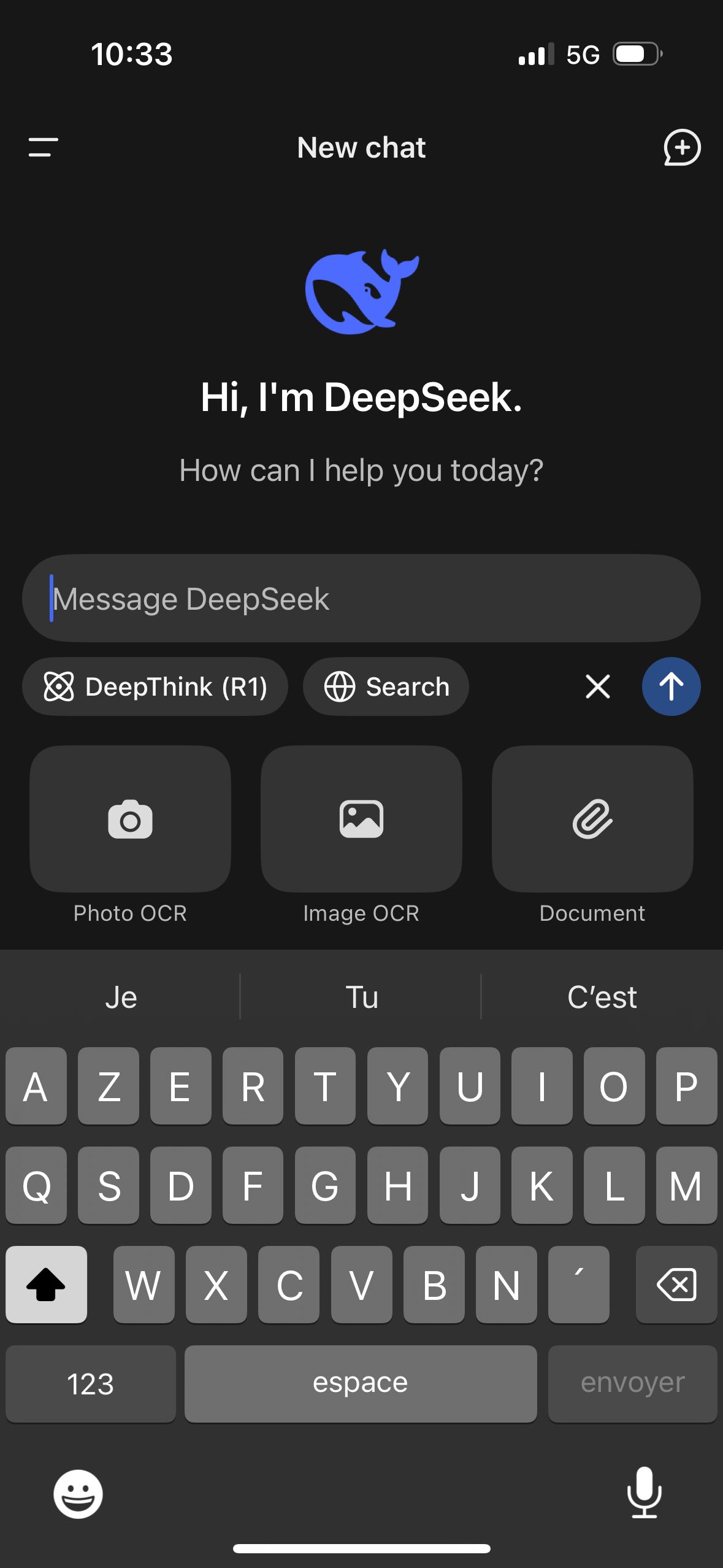 chat (DeepSeek)