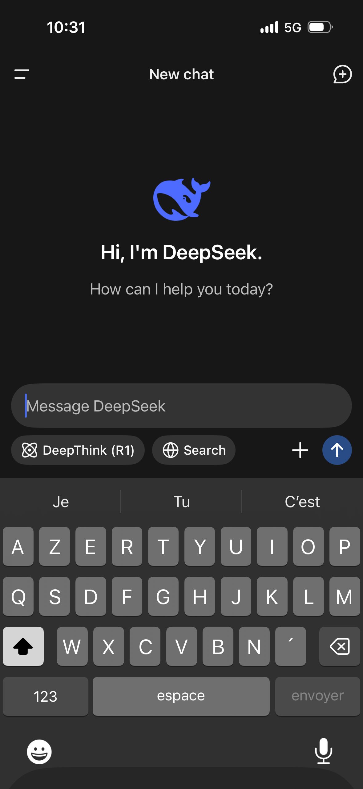 chat (DeepSeek)