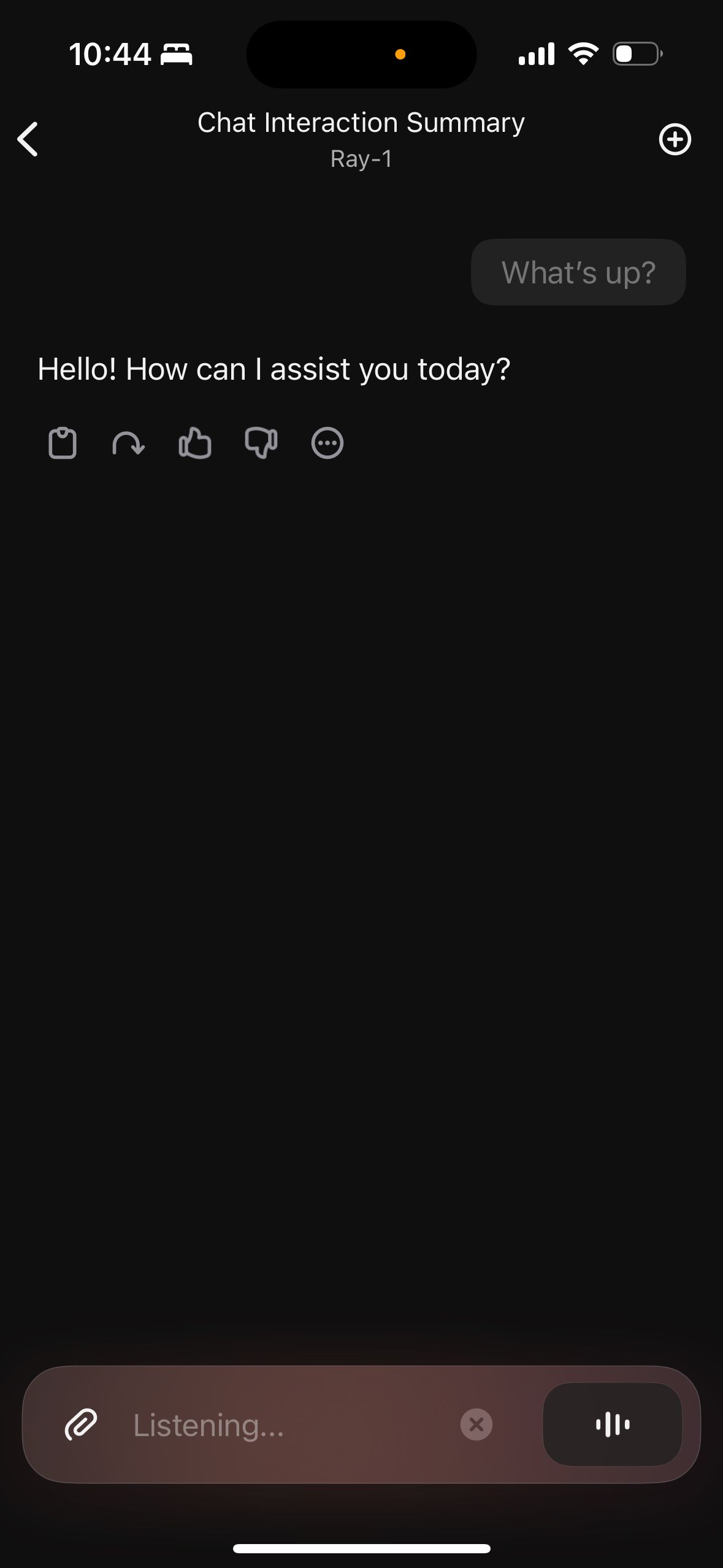 Chat Screen (Raycast)