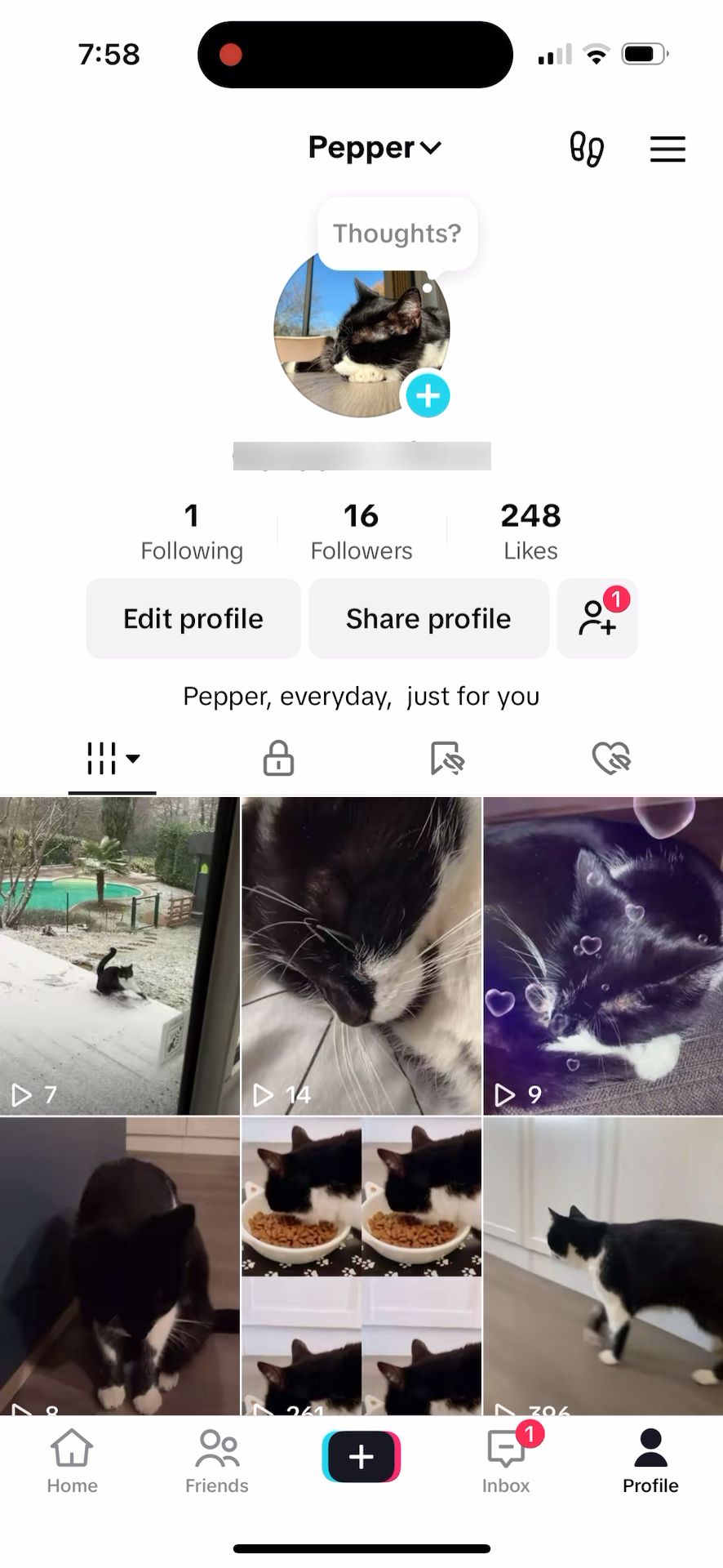 profile (TikTok)