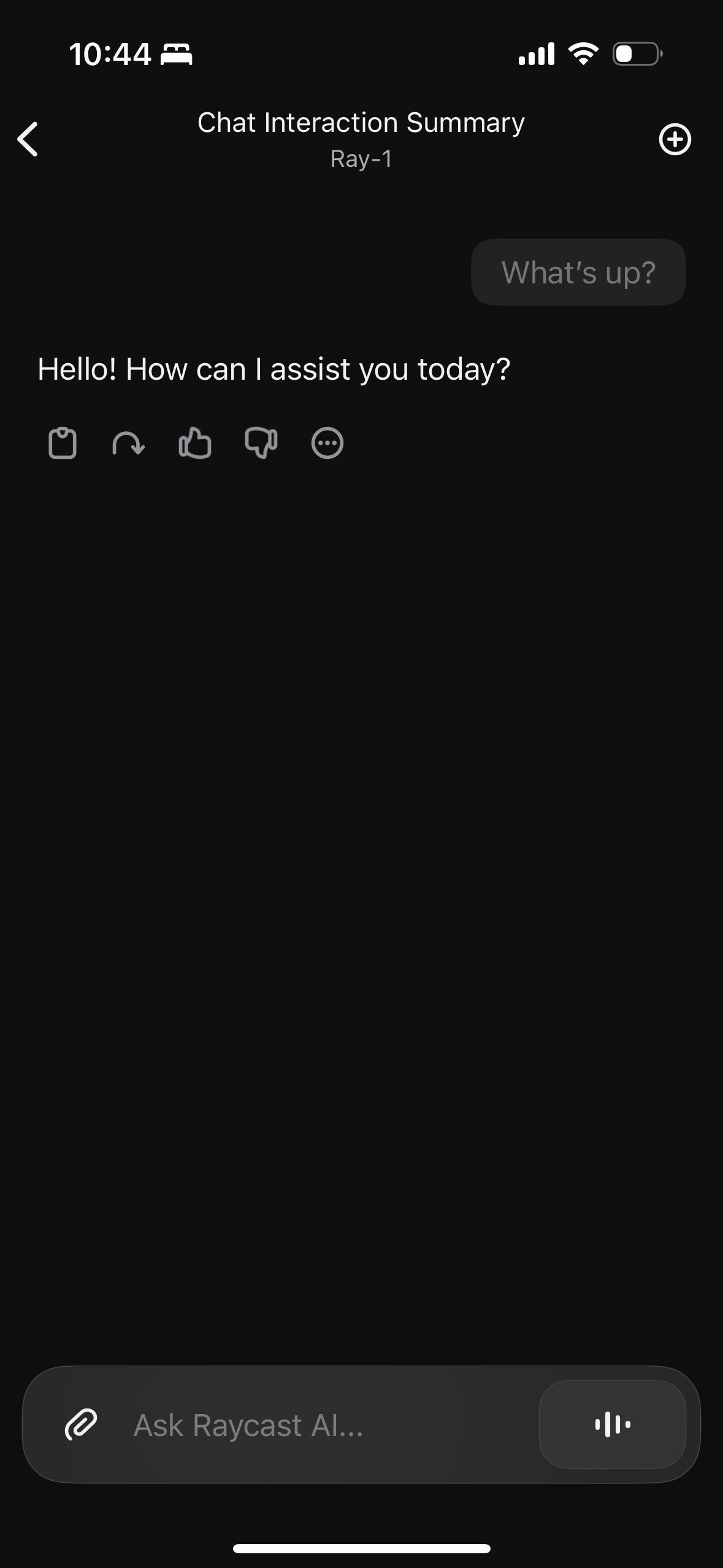 Chat Screen (Raycast)
