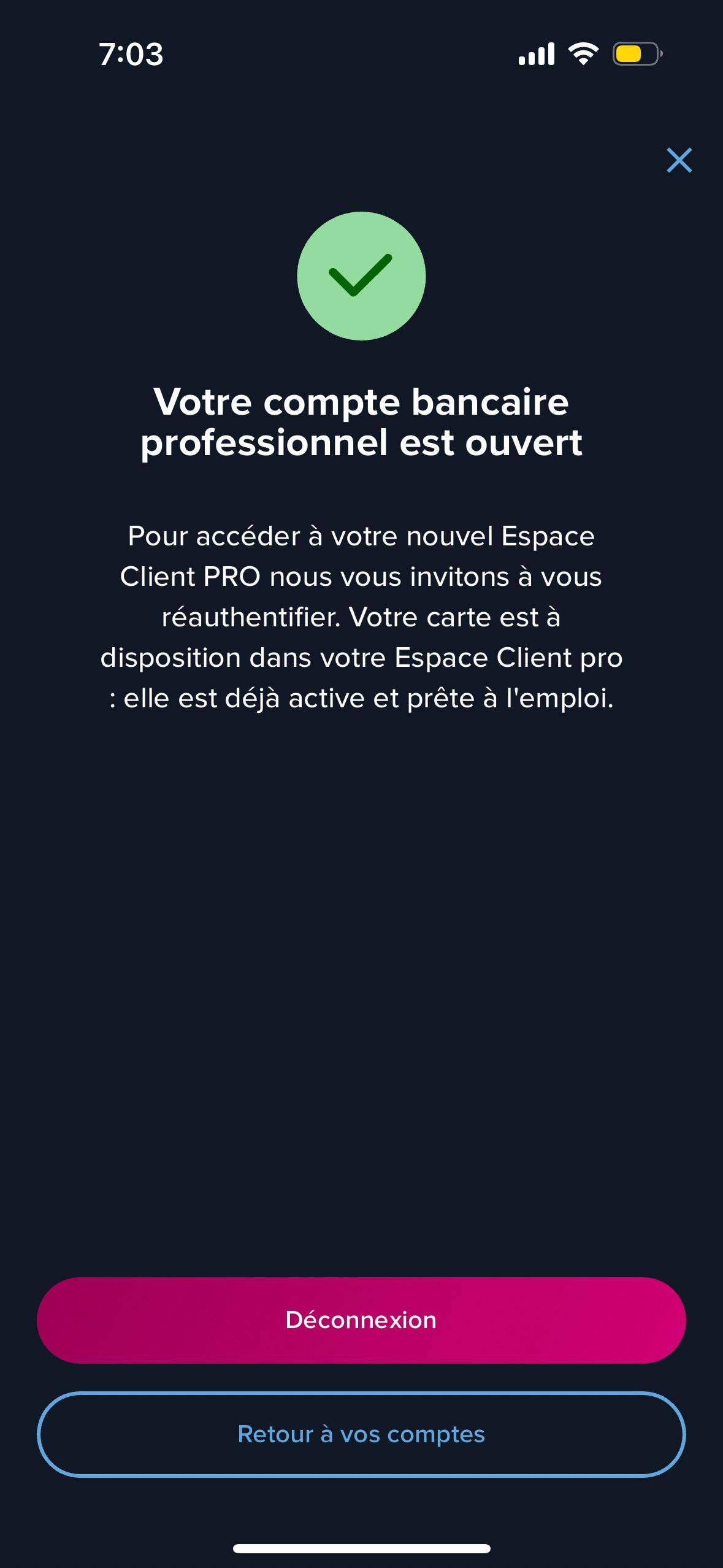 success (Espace Client PRO)