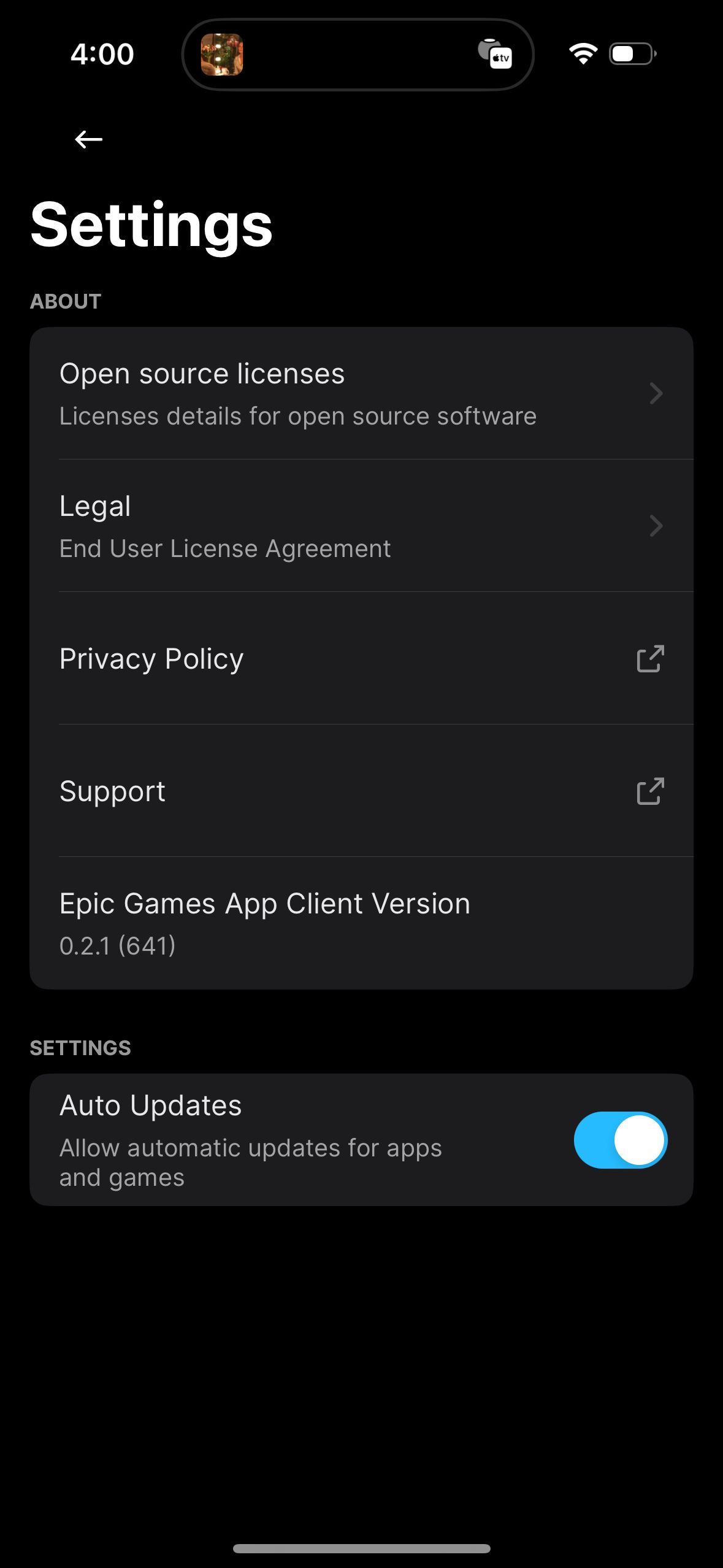 settings (Epic Games App)