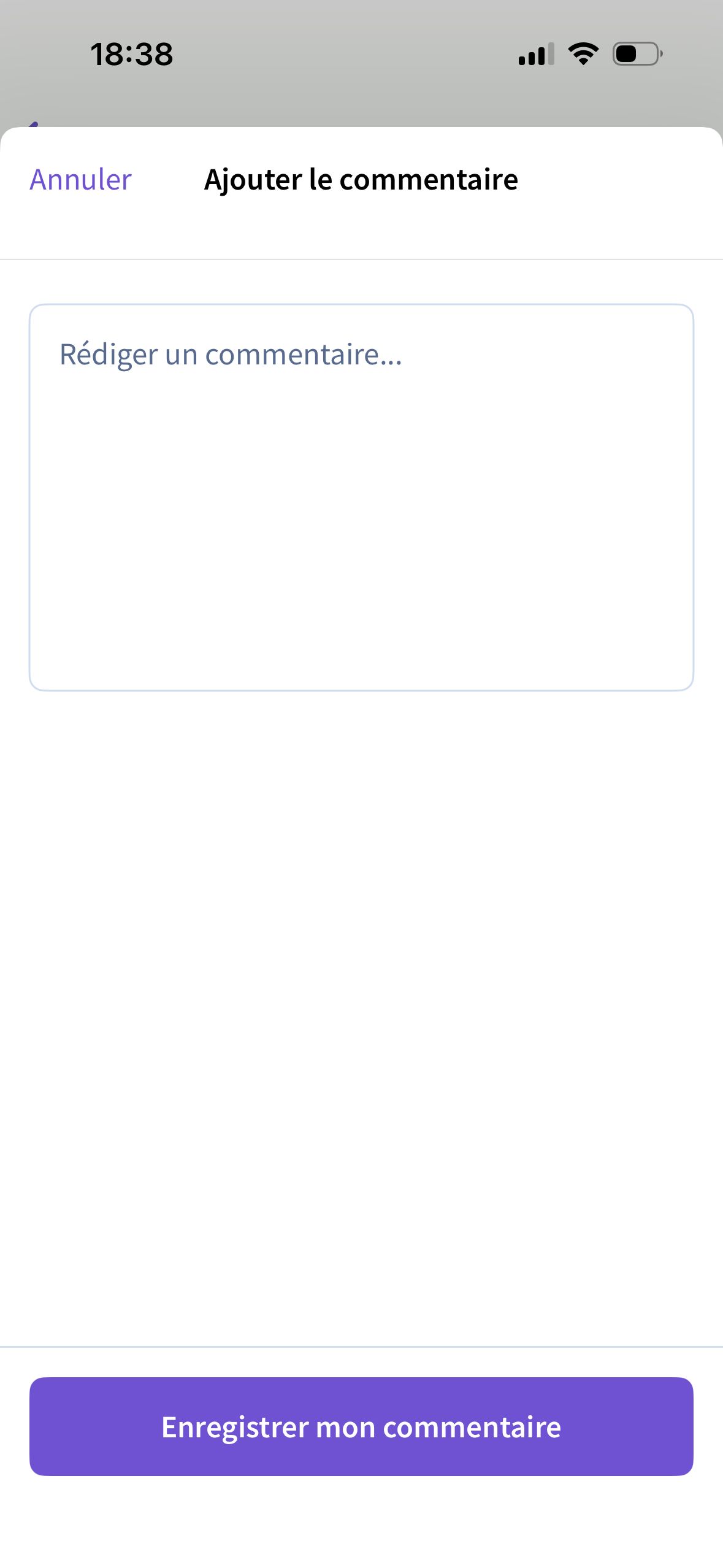 comment creation (Lucca)