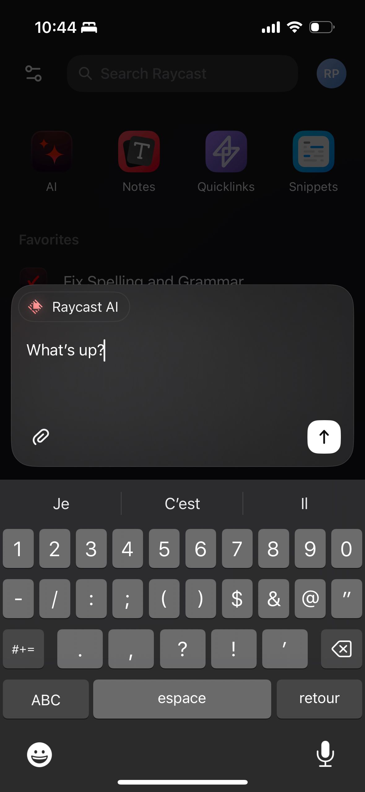 Chat Interface (Raycast)