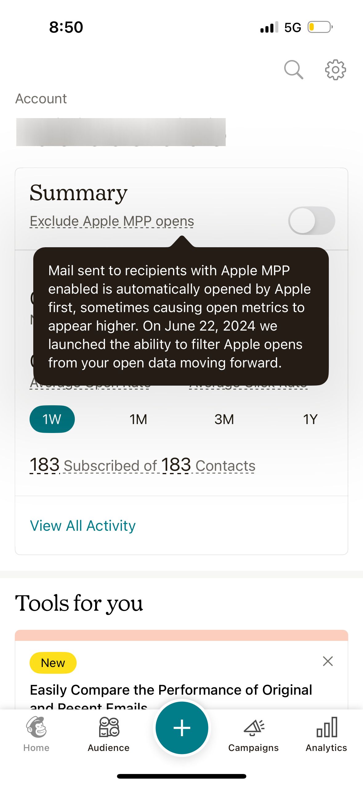 Settings/Preferences (Mailchimp)
