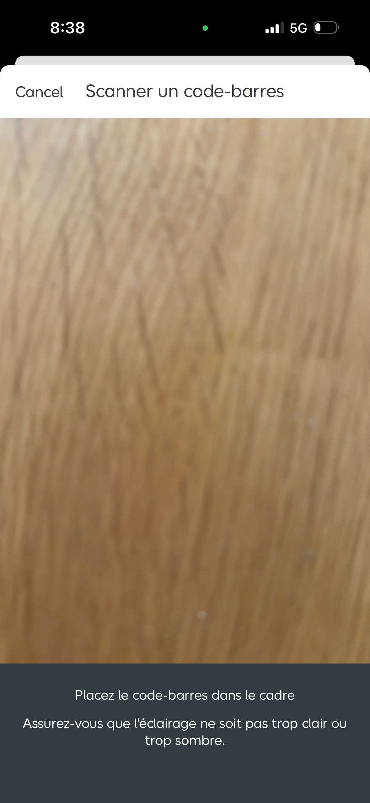 Barcode Scanner (Castorama)
