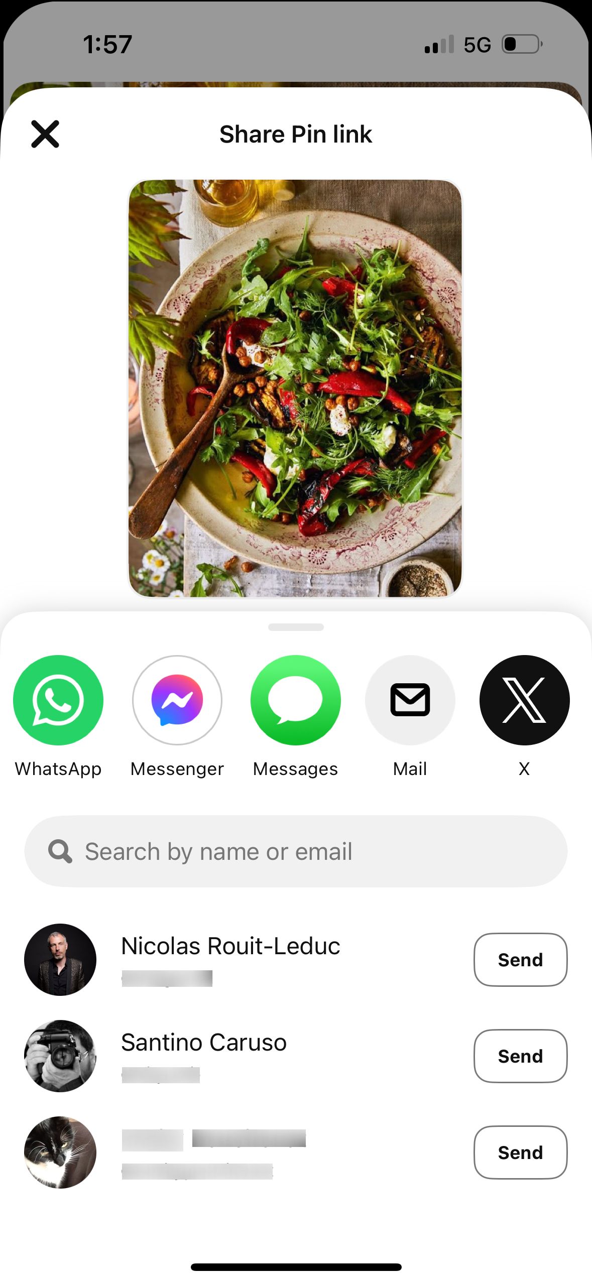 Share Screen (Pinterest)