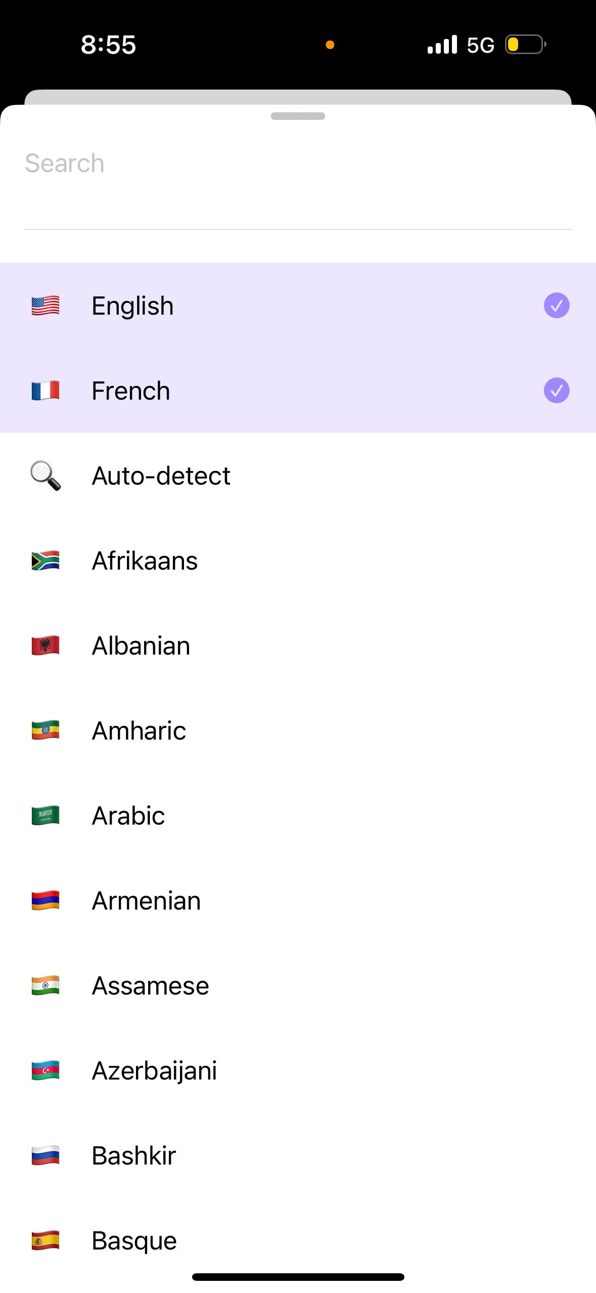 Language Selection (Wispr Flow)