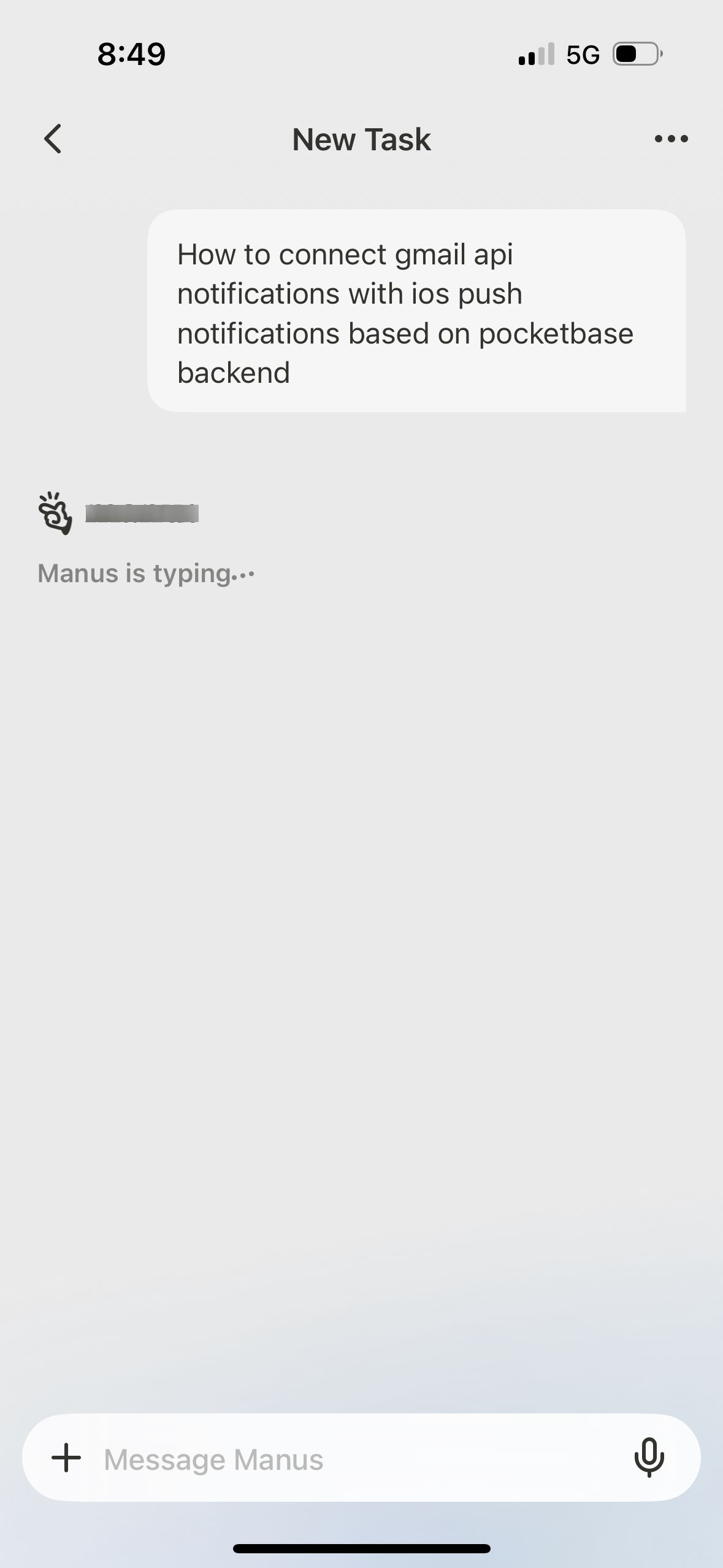 Chat Interface (Manus)