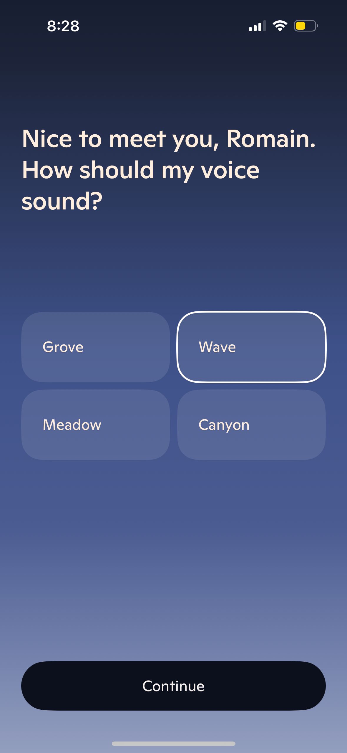 settings (Voice Customization)