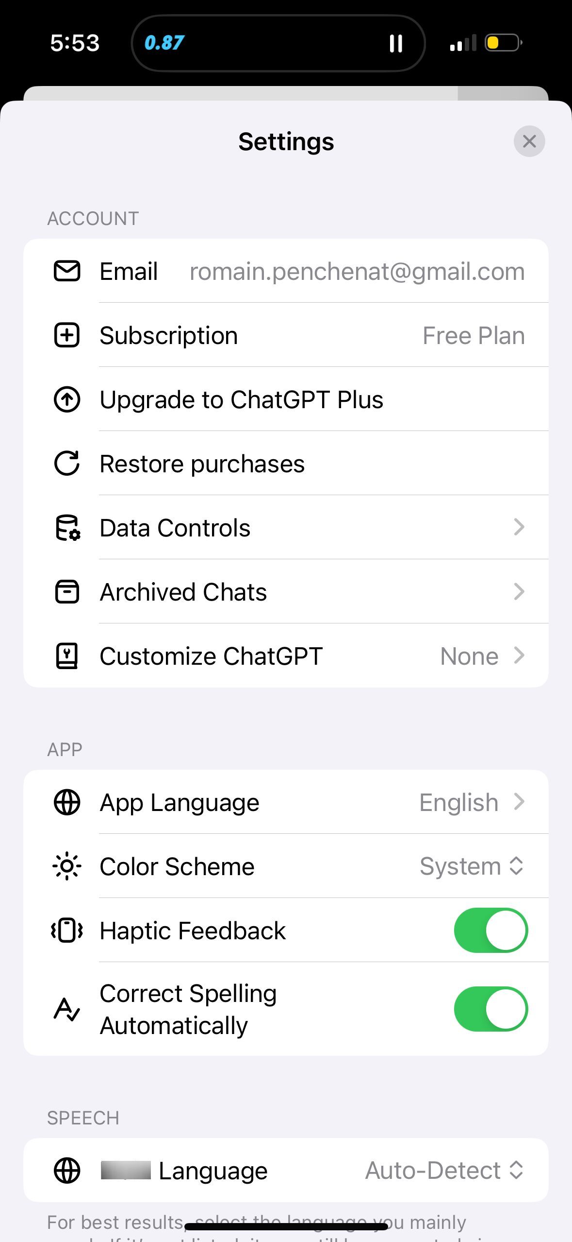 settings (ChatGPT)