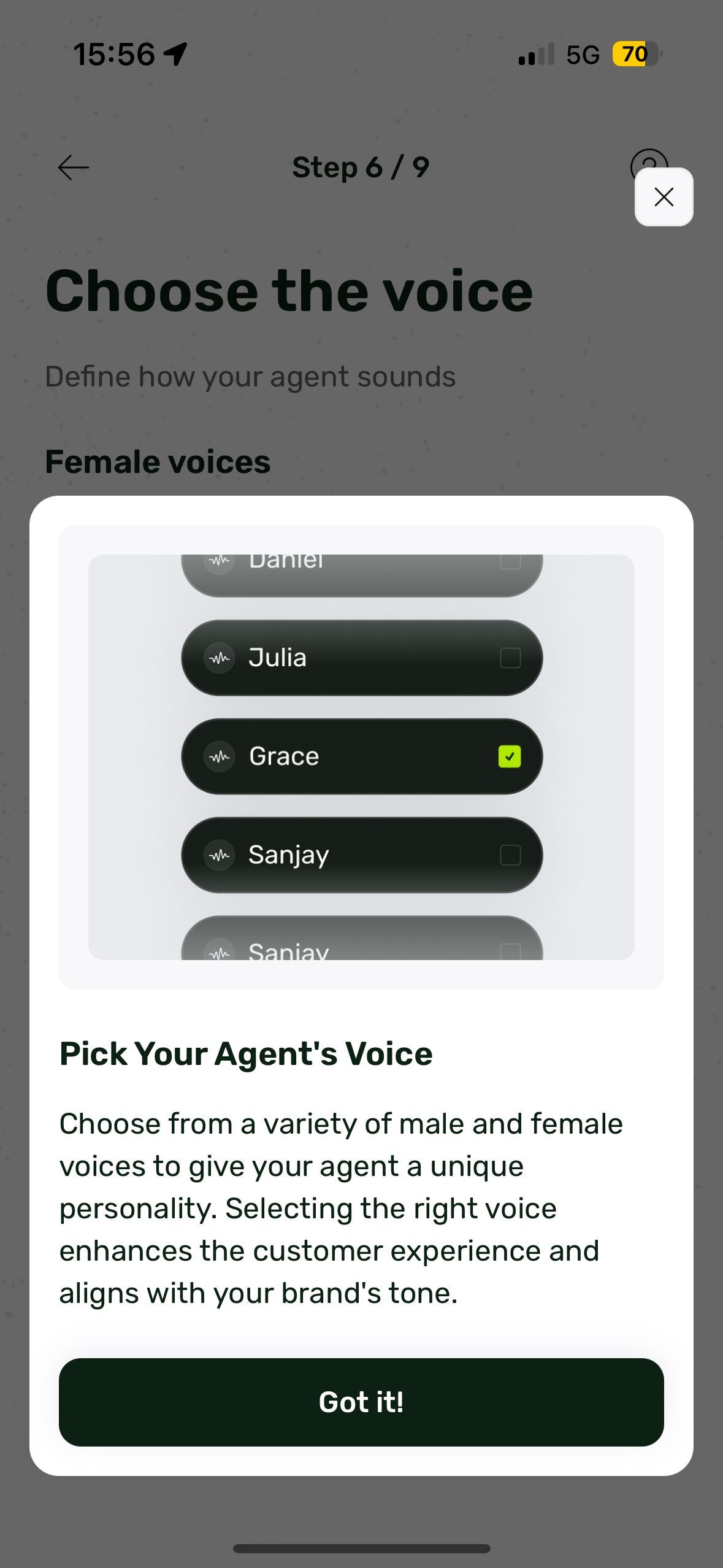 settings (Voice Selection App)