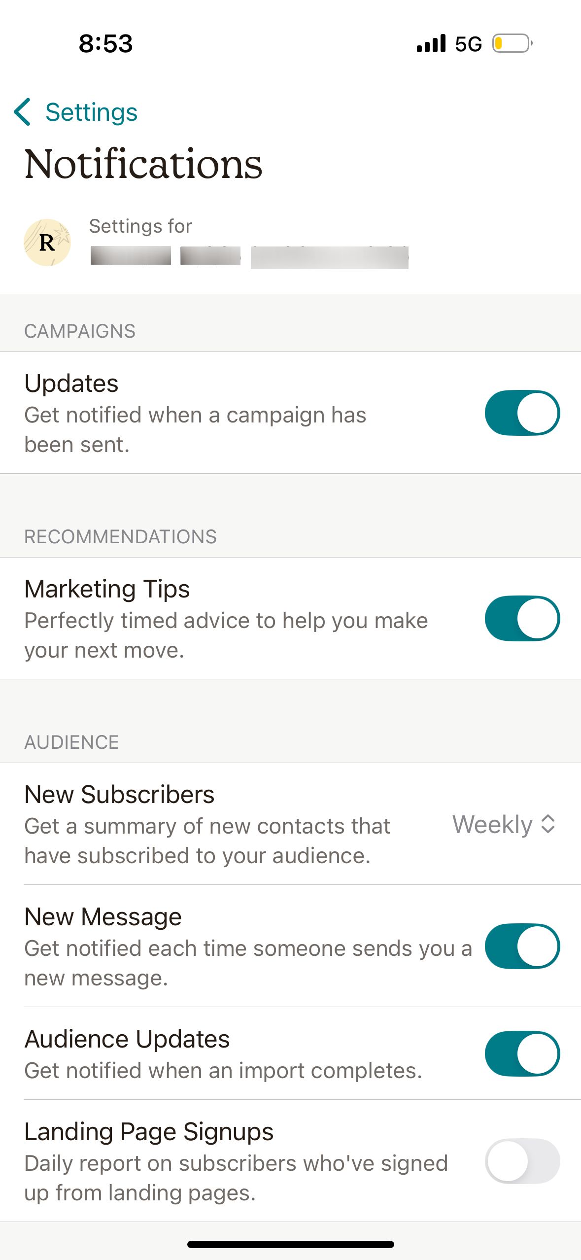 settings (Mailchimp)