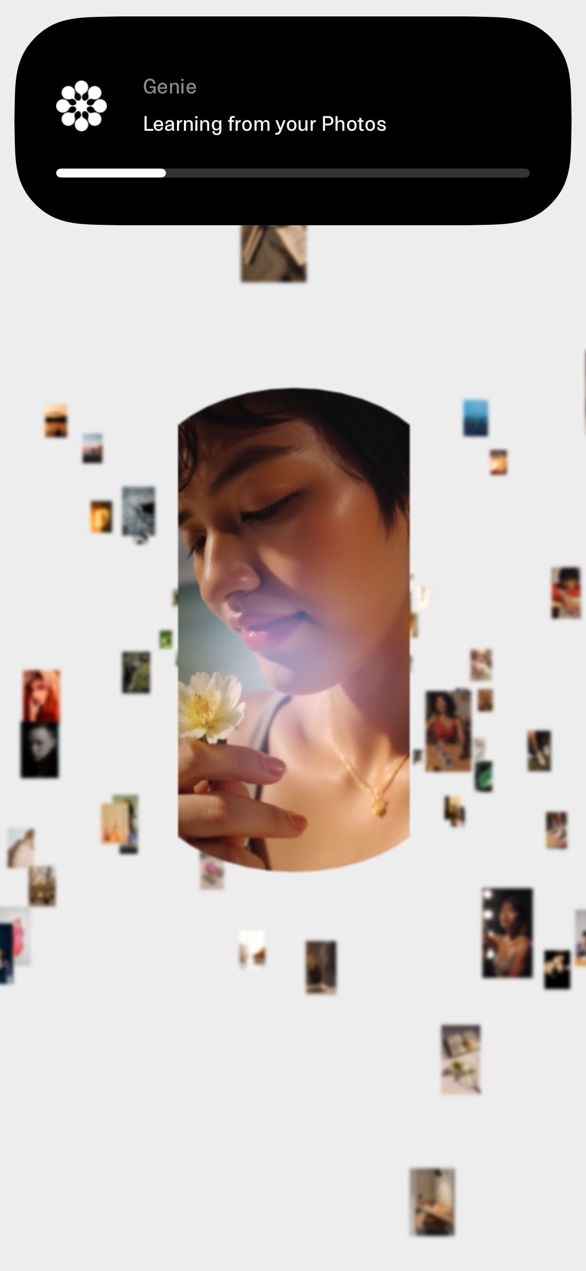 loading screen (Genie)