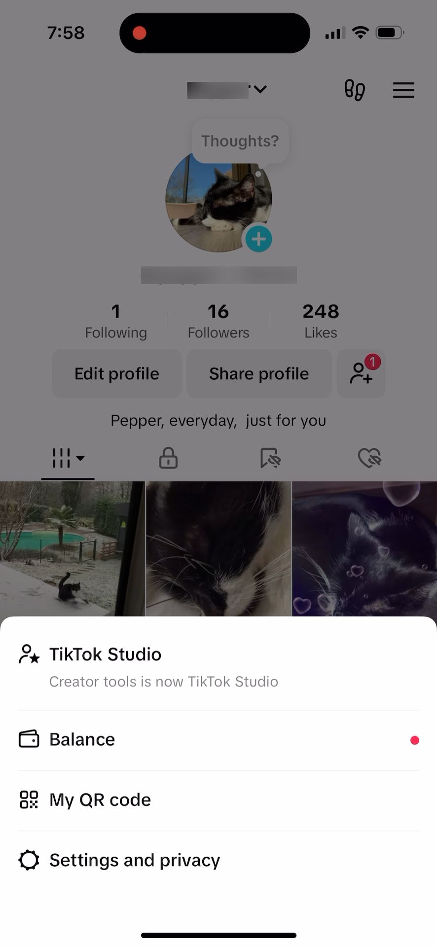 profile (TikTok)