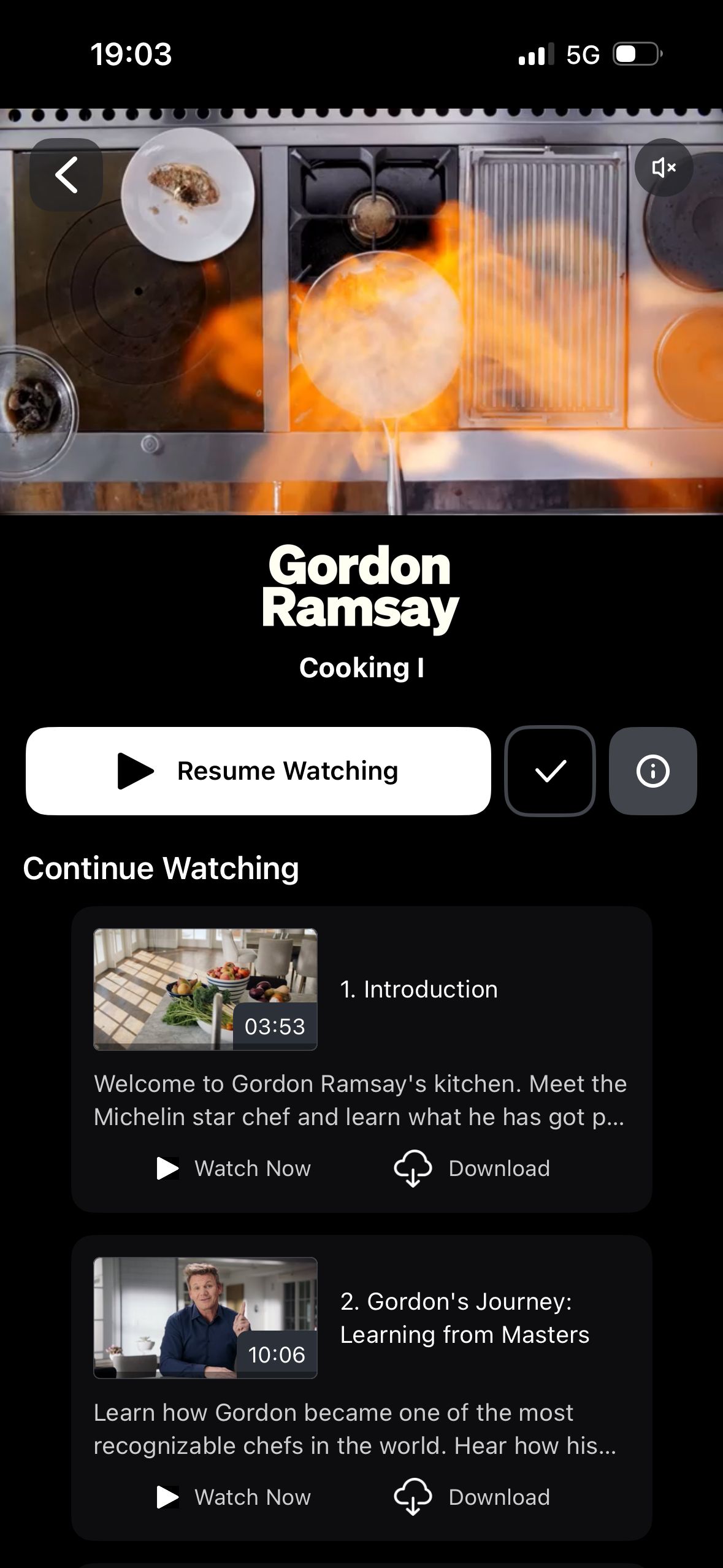 video course details (Masterclass)