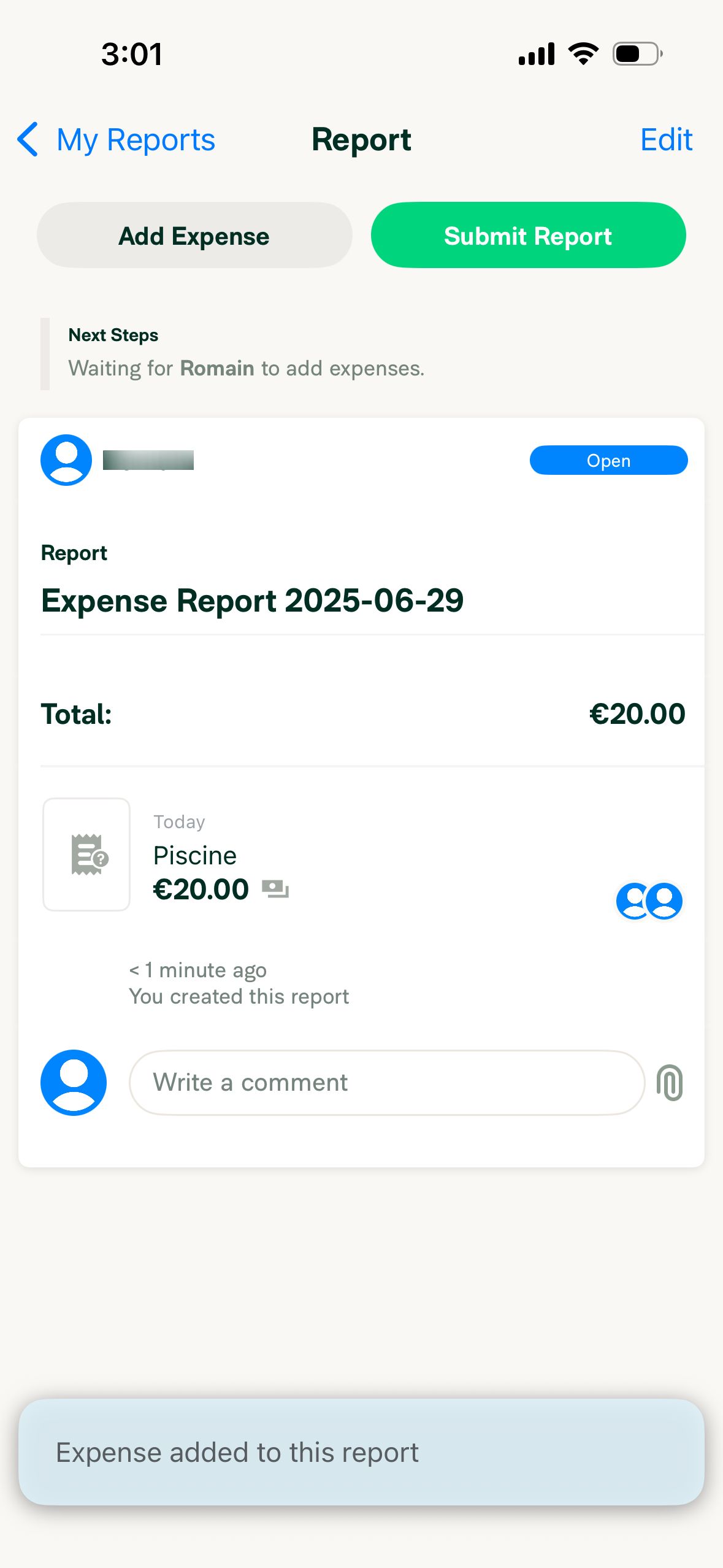 Expense Report Details (Expensify)