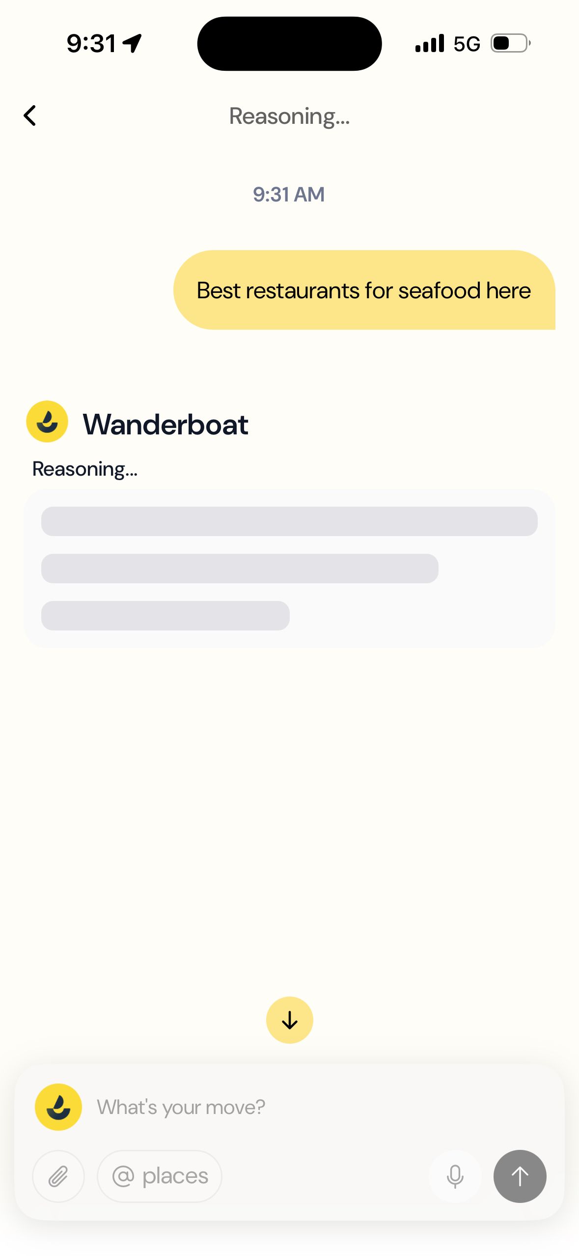 Chat Screen (Wanderboat)