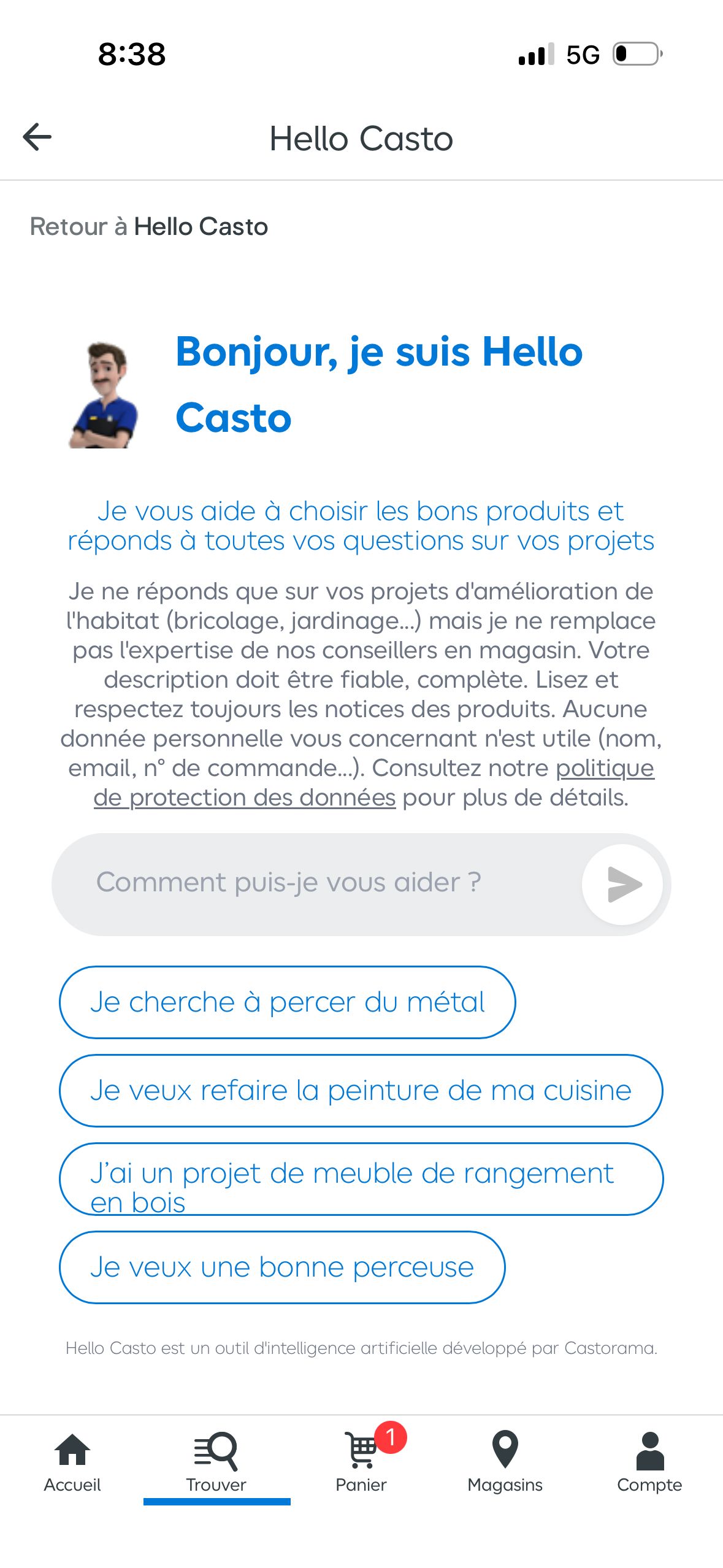 chatbot (Castorama)
